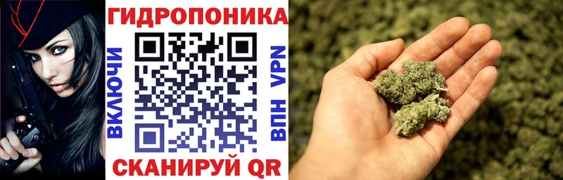 Бошки марихуана сатива  Купить  Звенигово 
